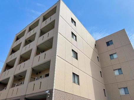 中古マンション カビ発生リスクを見極める内見チェックポイント完全ガイド